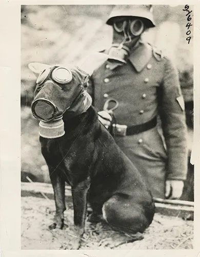 WWI