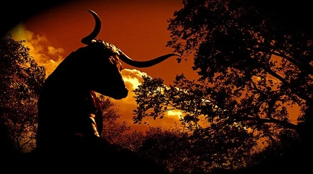 "Forever a Longhorn" (Top Comments of the Week)