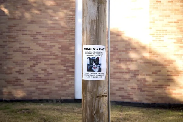 pole2
